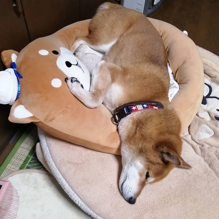 13d3fd75 e0fd 438e 95d0 96bbf24d3834 1646137911330