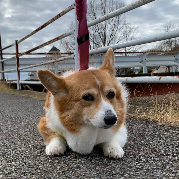 13d4493e c22f 4cff b69d b8bca6f3a56f 1705893036901