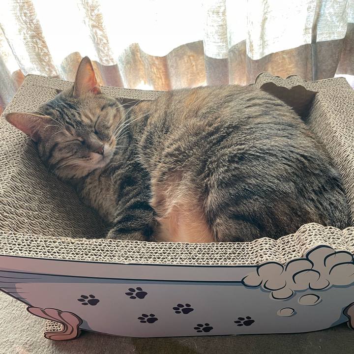 13d45b01 95f7 447c b3ac 29de7bea5f5e 1696217991474