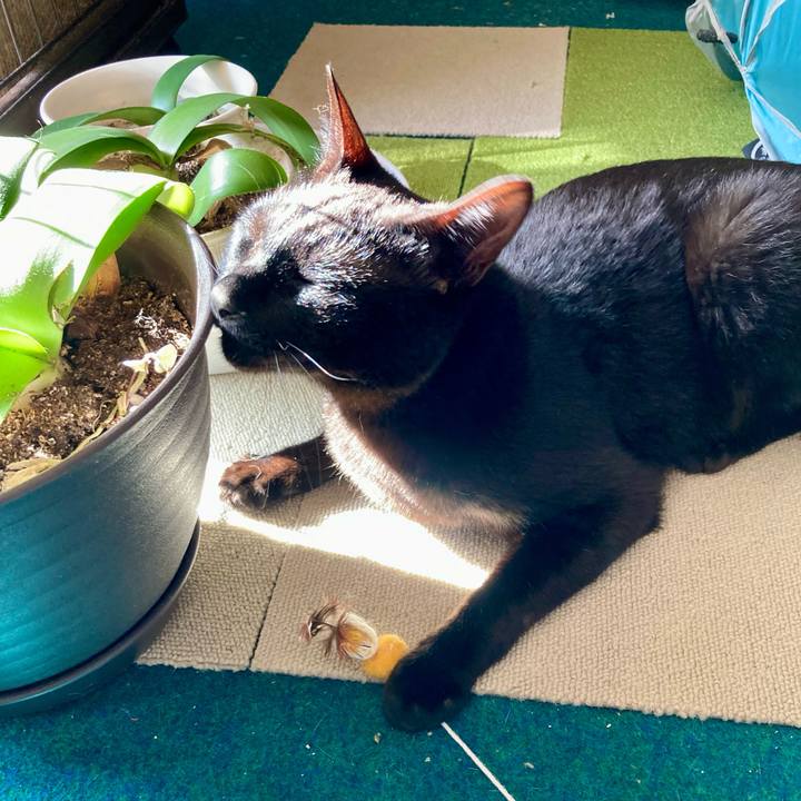 13d46679 61ea 4890 96f2 542bf97b709f 1708757754194