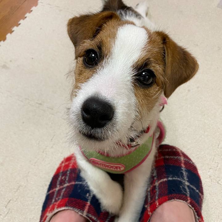 13d47b50 5283 4f36 aa06 e7c40e712512 1615983276995