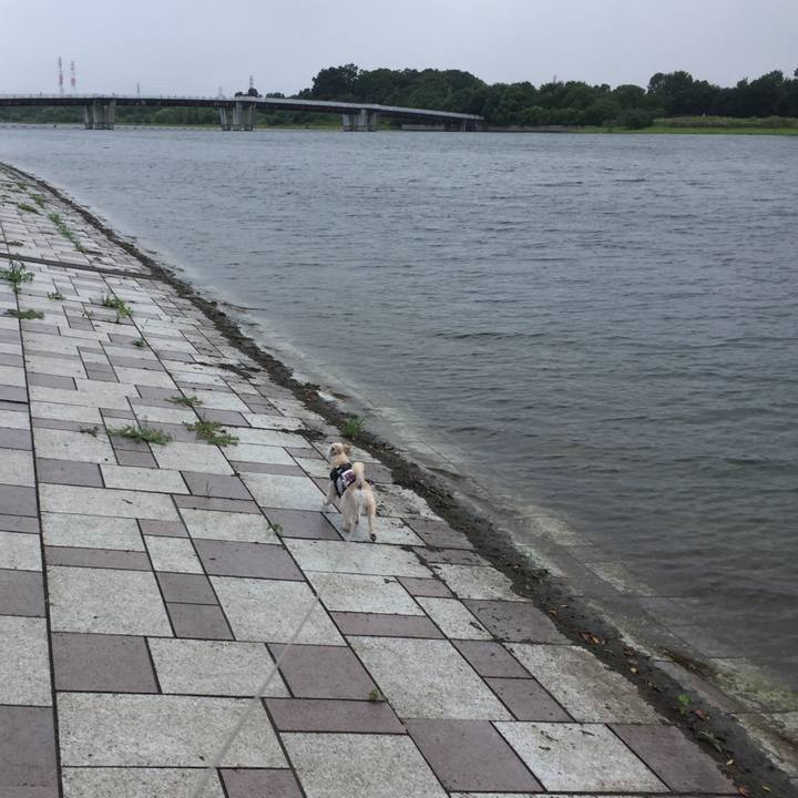 13d48ac6 510f 4dd0 a564 a2e71de54d48 1565867392689