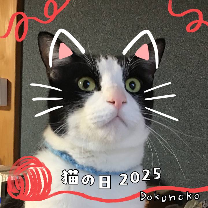 13d4d1c7 5c81 4edb be78 8dfbe318c1db 1740215701449