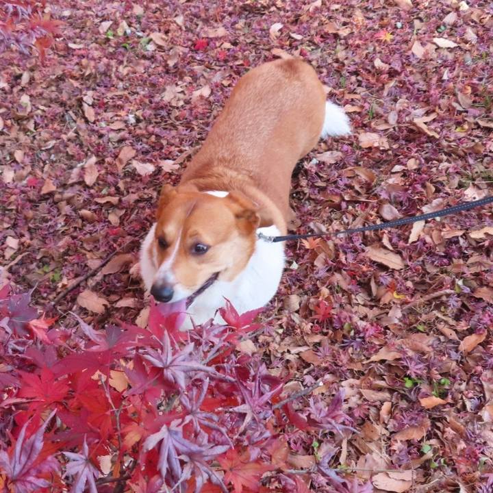 13d57819 ebec 4e96 a4e8 077ba4ce0c3b 1671151892211