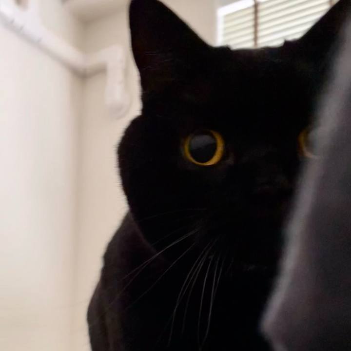 13d57d44 424c 47d7 906f 873811775927 1739838636917