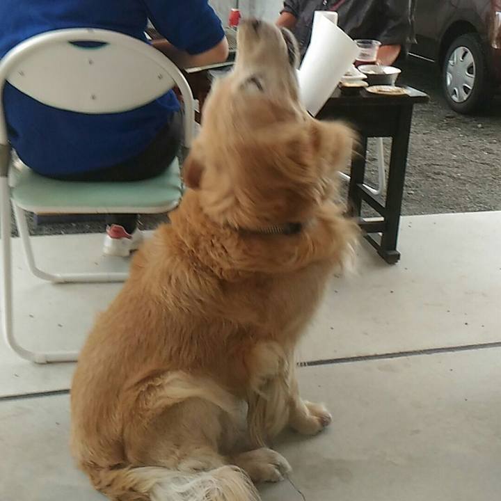 13d59354 99c3 43fa b0d6 226c2afc8336 1512098614406