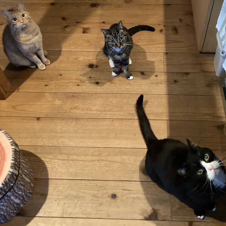 13d59abb d40d 40f6 a892 0cfefb56d74e 1607239193674