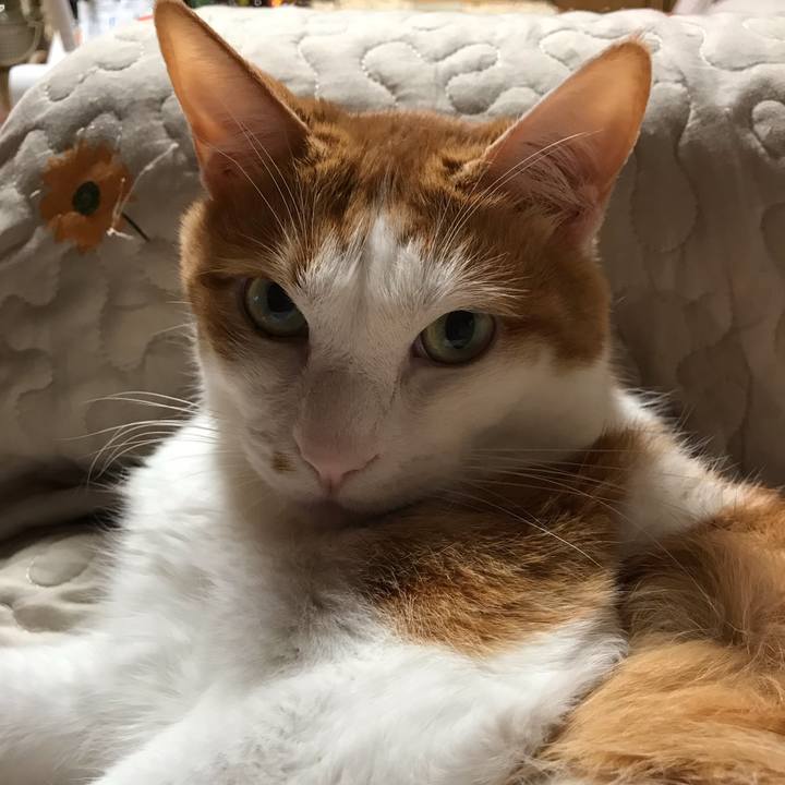 13d5afca 812f 431b b889 971da04f6bf0 1561113360464