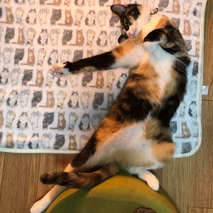 13d5e3b6 7d33 4fad bc5d 0d240a4680a6 1587221380701