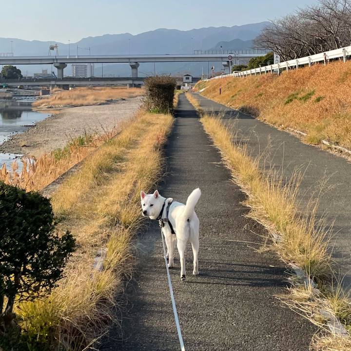 13d5e844 cc77 4820 9cea c473b1c9640b 1646867215310