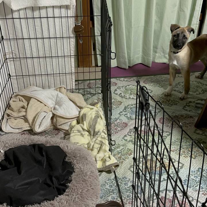 13d5ef5f 1d80 4c00 adaf fe15713797af 1699599183549