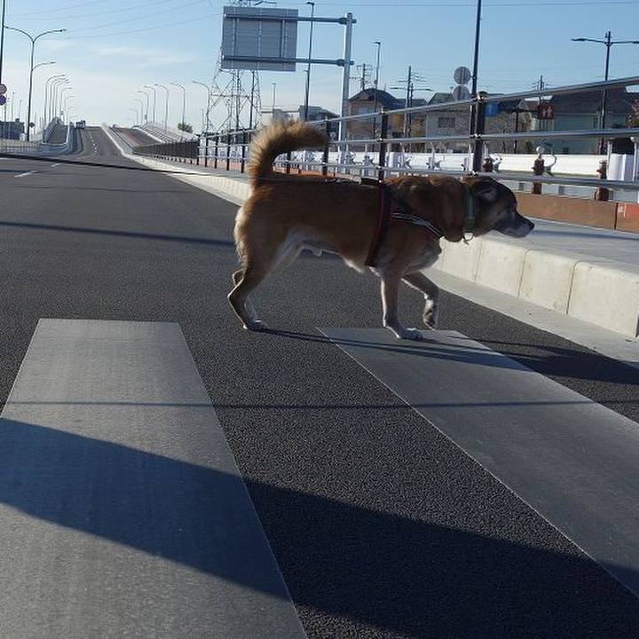 13d6186f 110c 43e7 ae28 85fa58a9c2c0 1512867852935