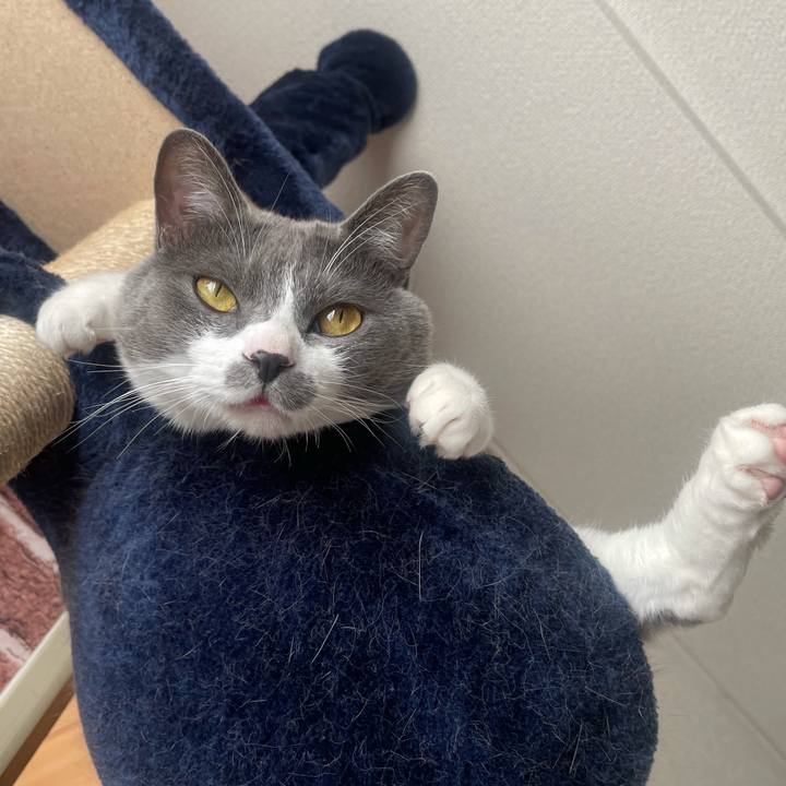 13d753c0 06a9 4ecd 92a5 58920f39c0af 1640142951142