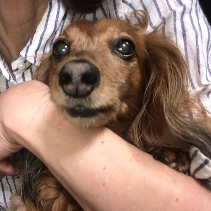 13d766b2 63bc 48d4 8e23 fe0c46eb3b7e 1558678379323