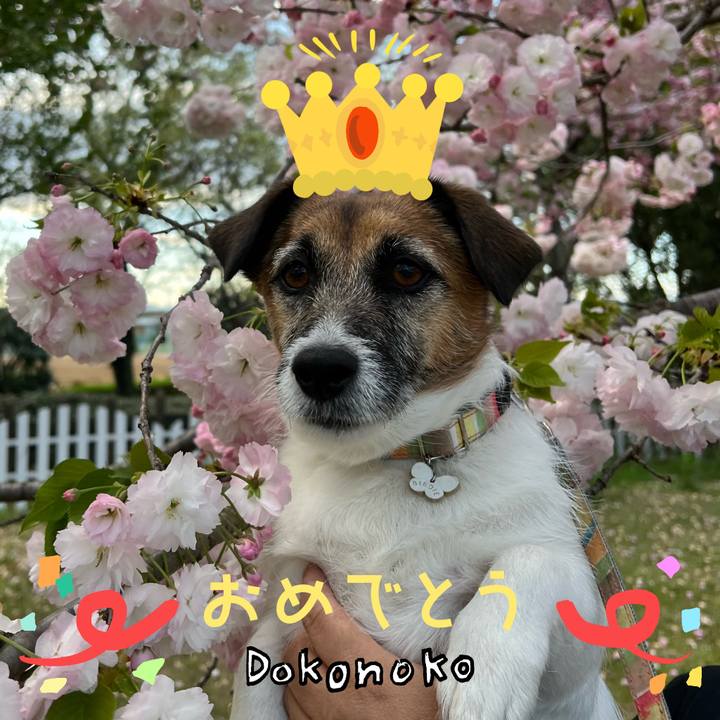 13d77366 8824 4abd 829e c1e7e1b33024 1685972358788