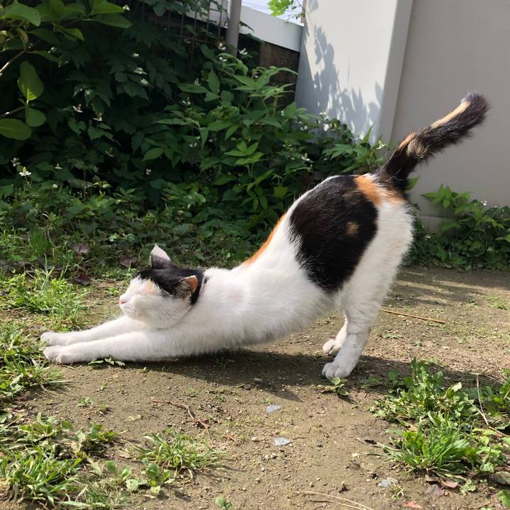 13d77c8c a9ef 4857 93f5 02ee2a389b6b 1622937622949