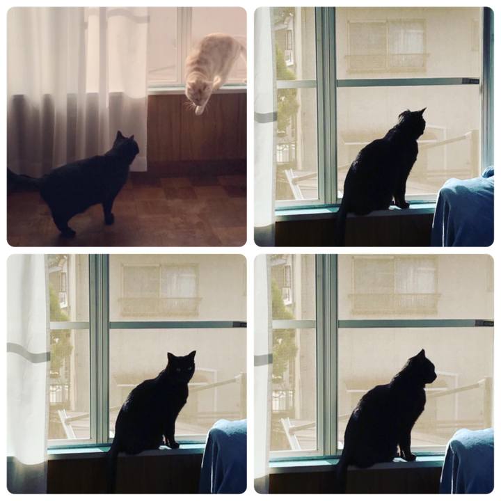 13d79887 e342 449d 93f2 cf6226efccde 1579397647286