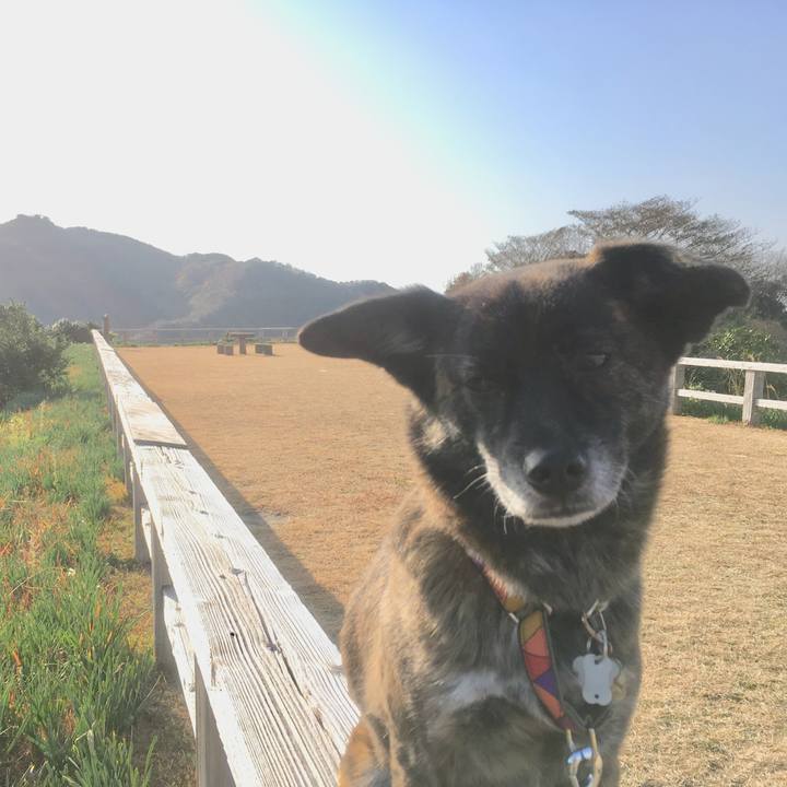 13d7a4d3 8812 420c b72a 73ecef7d574d 1515902300828