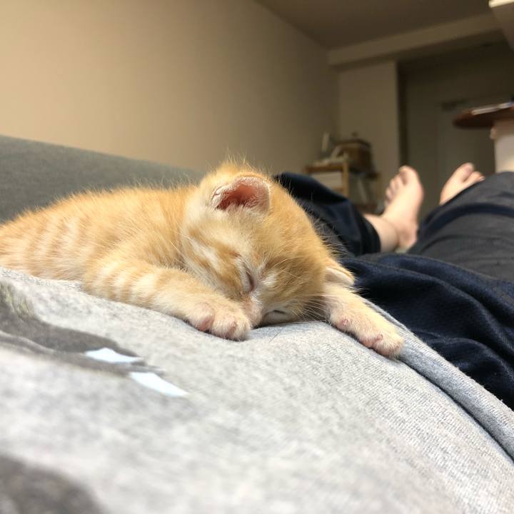 13d7c0d5 27ac 4152 b241 5b89f3245fcc 1559690216277