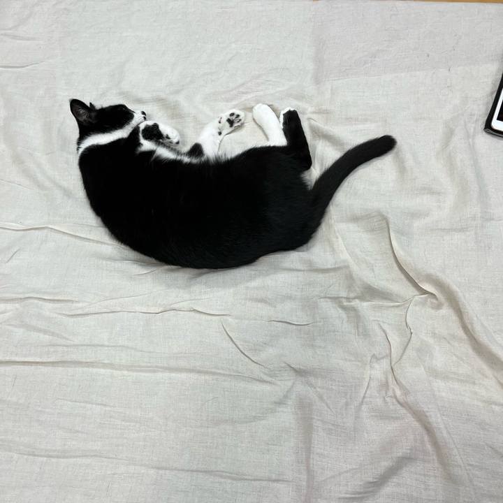 13d7cfc0 44de 406d a06b 5a74414aa507 1686529592066