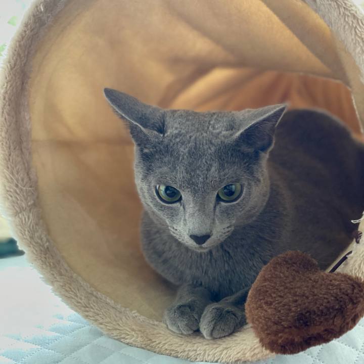 13d7e4c7 0c89 4506 b39c 61a26036b6e8 1627362799648