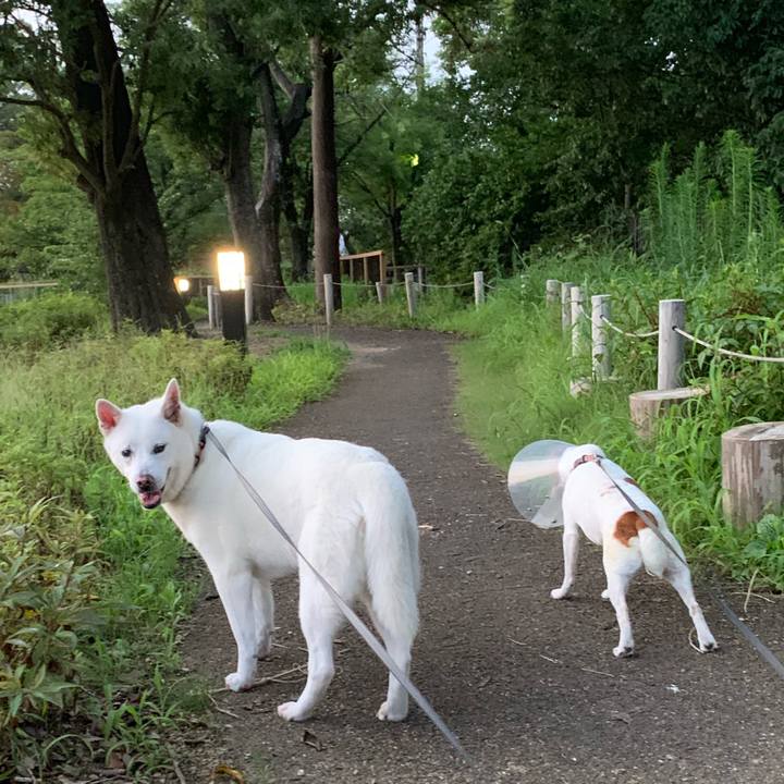 13d7ed83 a8d5 4ea3 a01a 35cf1ad3bd3e 1564314152572