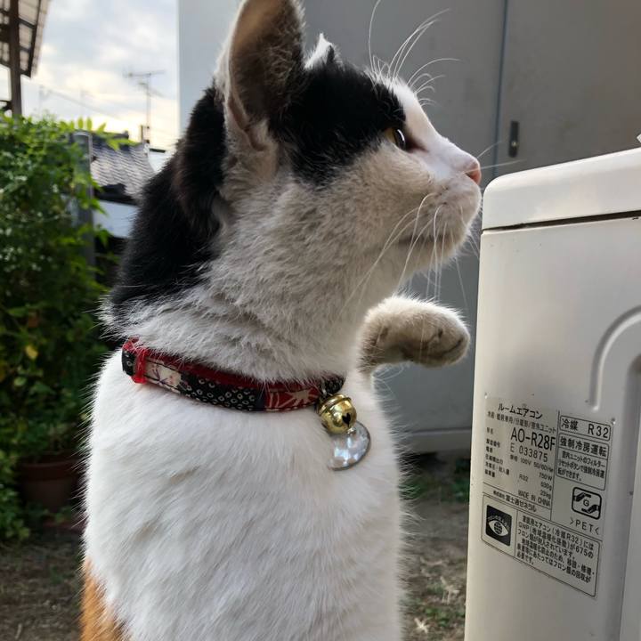 13d7feb4 7e3f 42af 9b94 45f18550b878 1606005799865