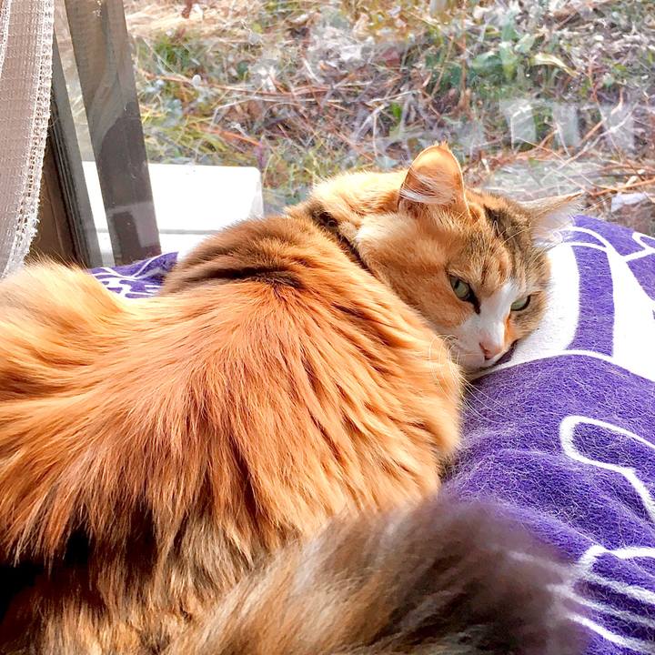 13d81a53 17eb 4213 a912 4a8e2e7fc45c 1582606046285