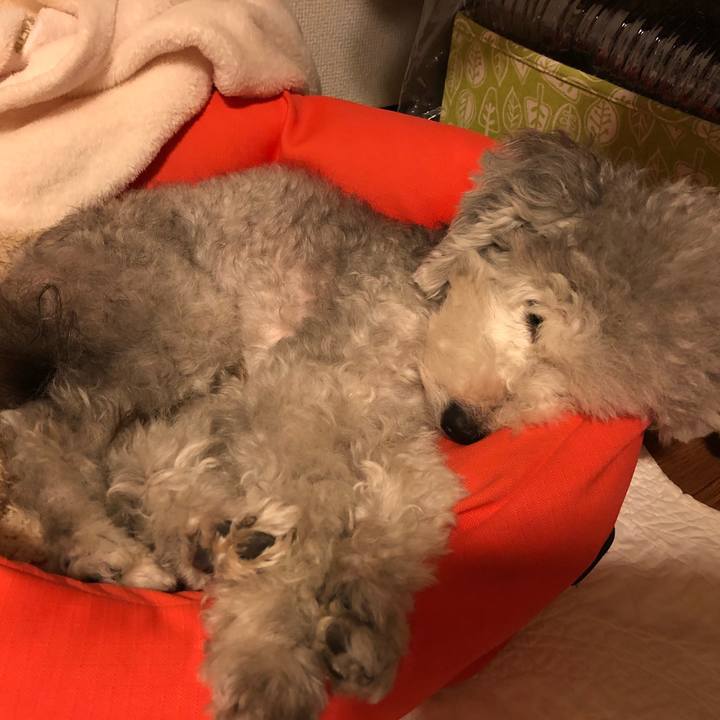 13d85fbe e163 4020 9d6c c98485473315 1538364828557