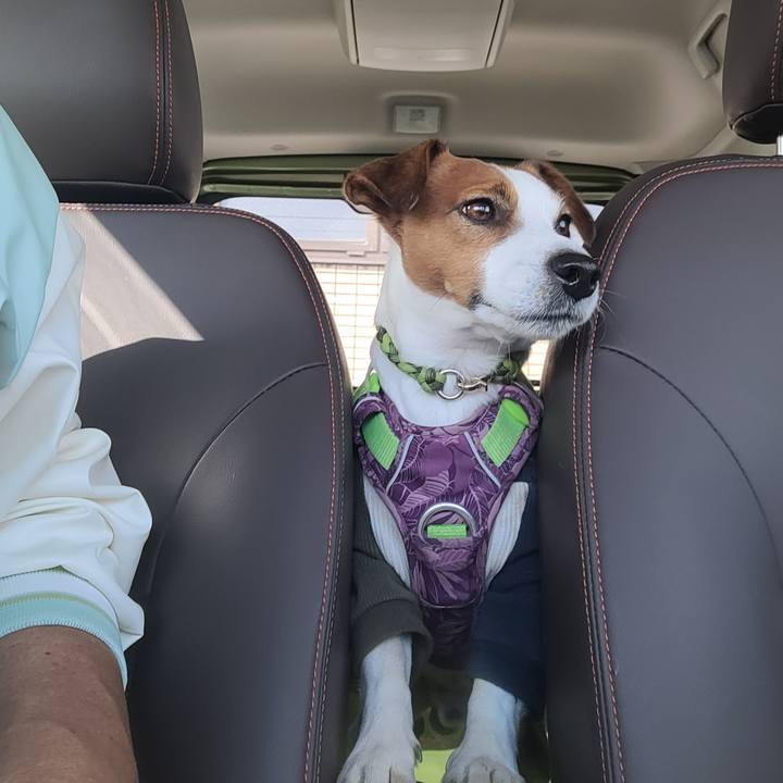 13d87aaa 9775 4f7a b80d 180b7d69c62f 1697939957600