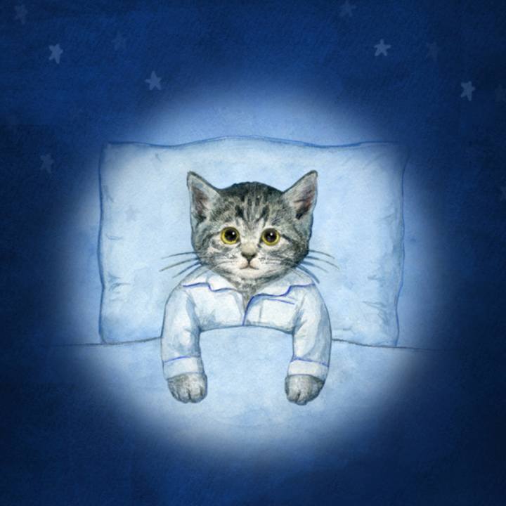 13d8a3db 45fe 4a60 9cf2 a6ec41918cc0 1519616170068