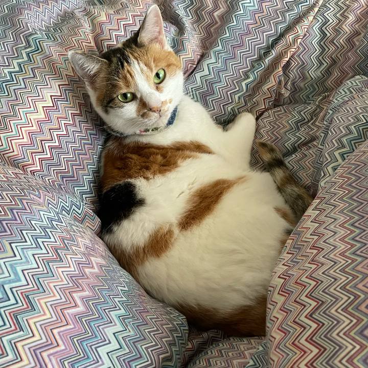 13d8b687 8817 4c73 8ceb 67c95f45e858 1730611350842