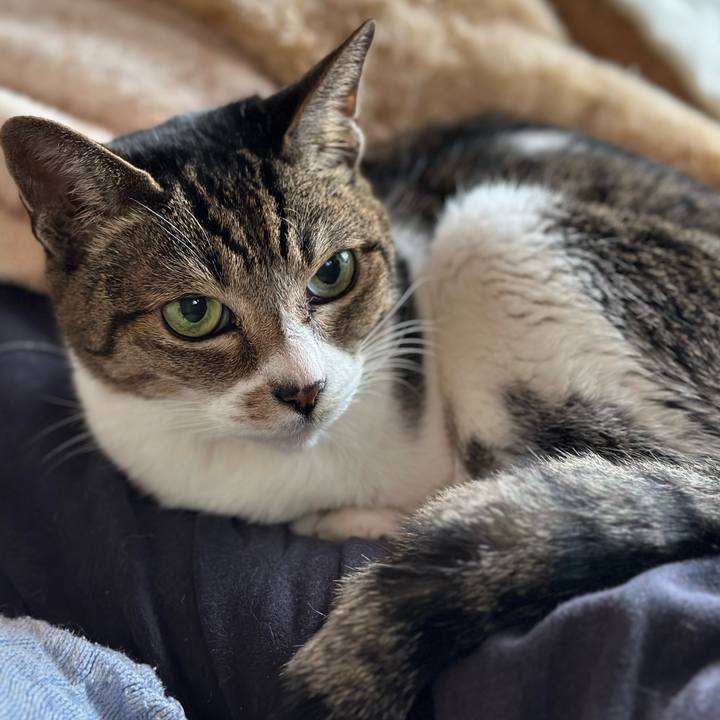 13d8c14e 3e8b 41e6 93e3 91f1426f82c1 1669941913987