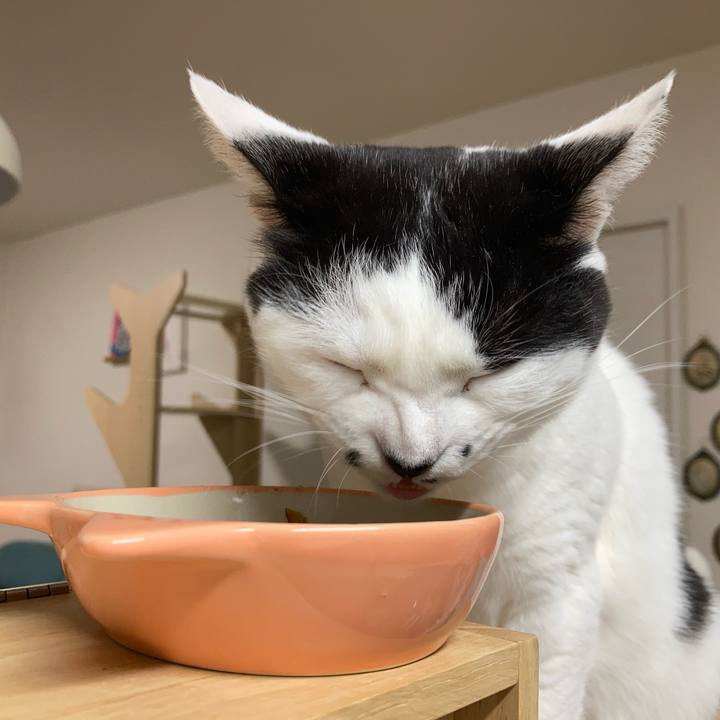 13d8d3c7 9fbb 4439 8b15 b421eae94538 1774212476839