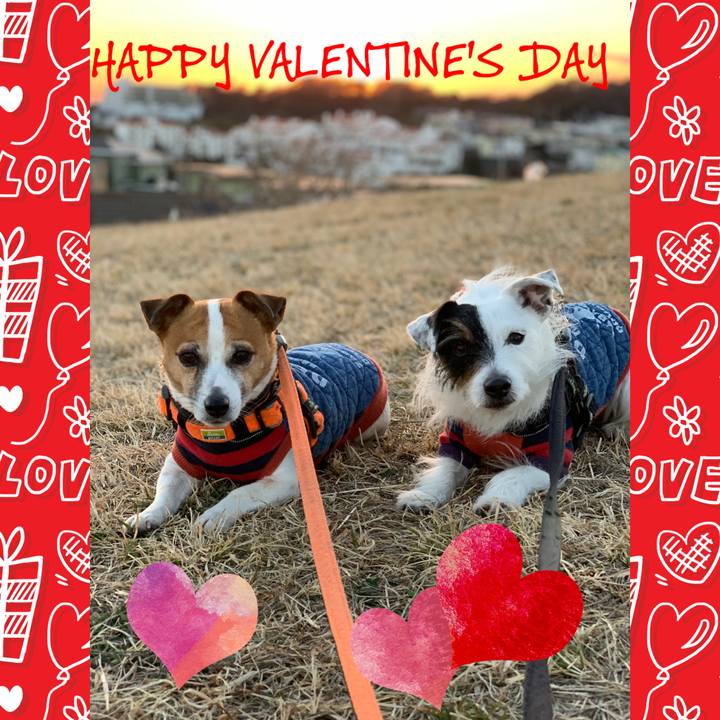 13d8e55e 036b 4675 a9ea 20d4c8eb64ee 1613268164768