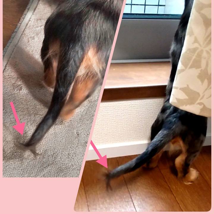 13d8ebbb 49c9 47a7 80d0 310c3ca3e07b 1696894698386