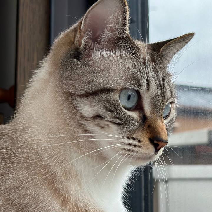 13d932c4 bf37 4752 a445 6fcdc25a7952 1666663807419