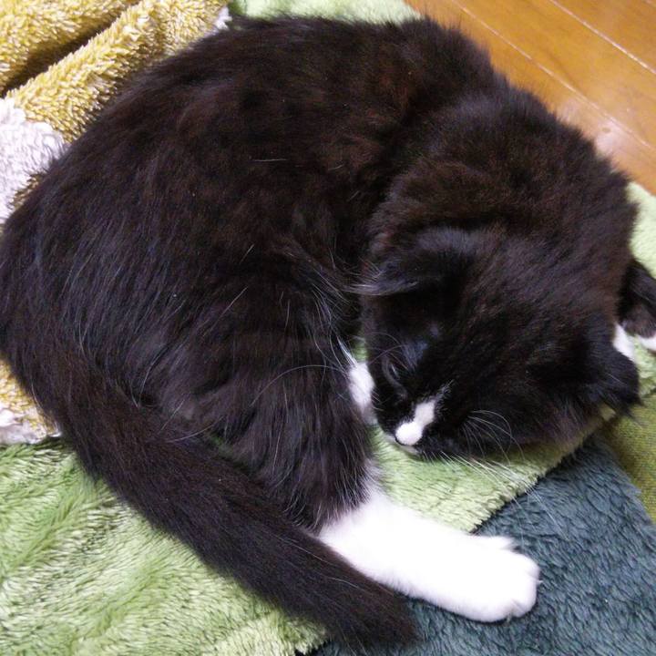 13d949ea 2894 43dc 9d1e 0e21c8f9e2b3 1640500563773