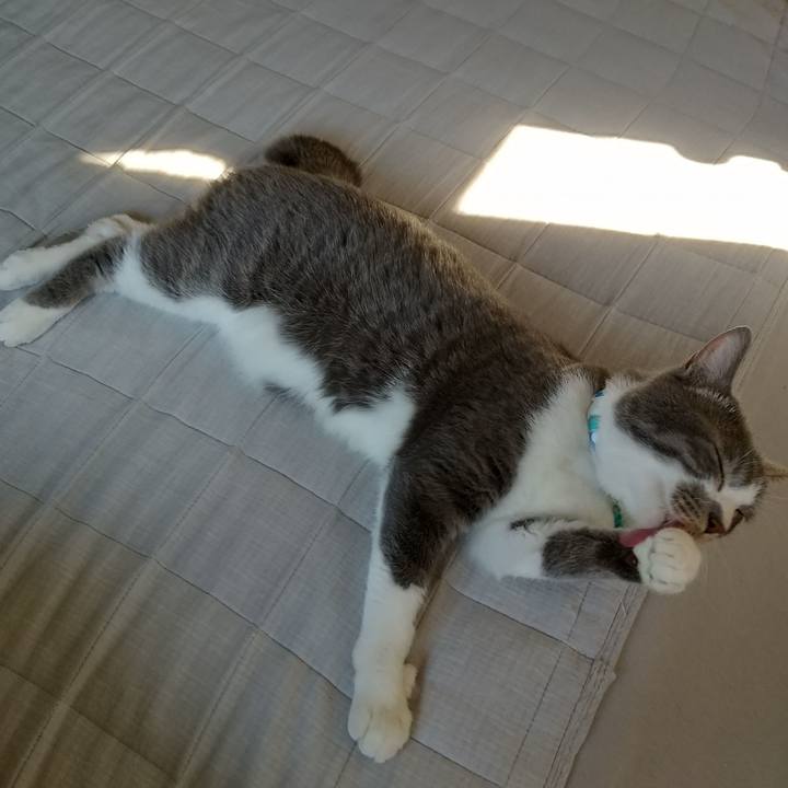 13d94fb2 9680 44d8 a1c8 7d38b4ce0975 1651912729009