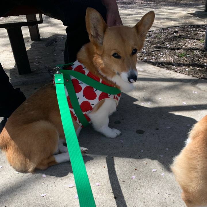 13d950d3 47d6 435a 91e9 977e9f81d162 1616988379454