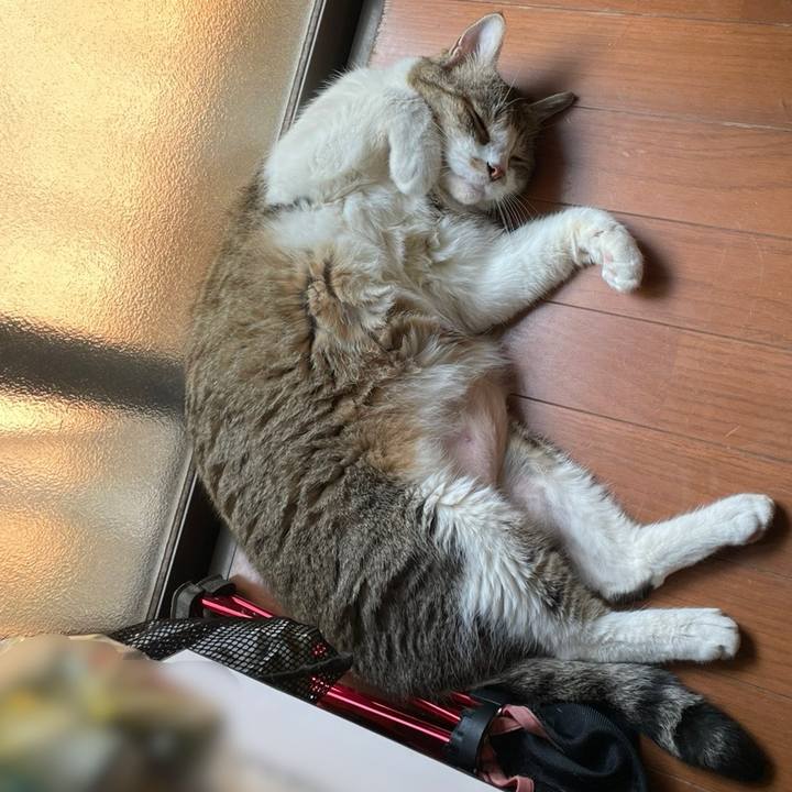 13d96d9e 4201 493d 9e0b b06023b56723 1755916920300