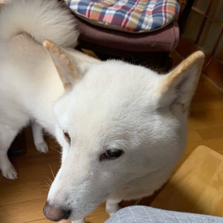 13d979a9 08b3 486c 9bca 764c81ffcdcd 1573946974221