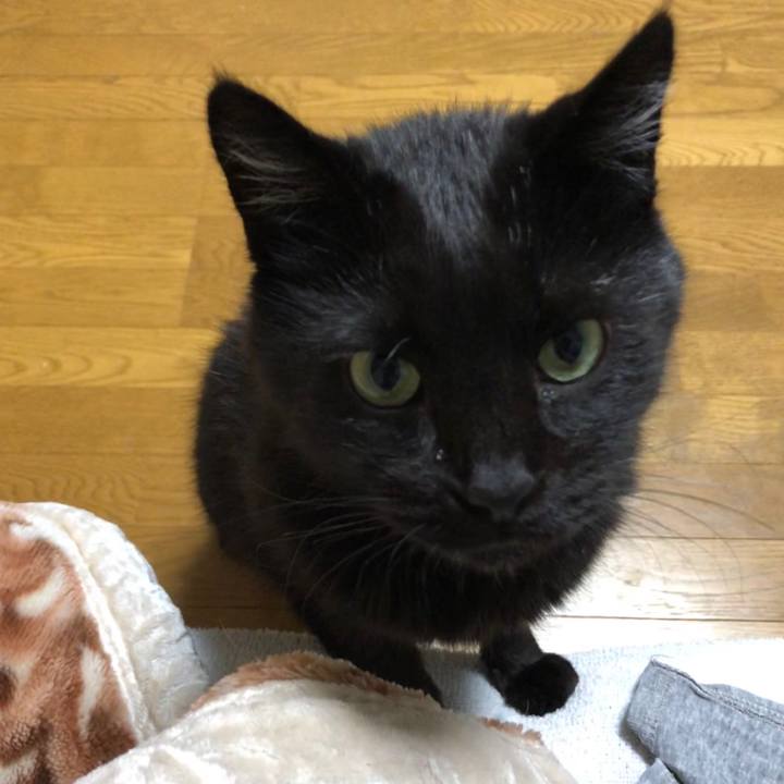 13d9c981 b5d8 4e6c 8a4d 6e71bb196450 1603103807774