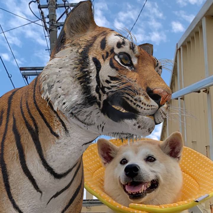 13da1511 a0af 40b0 8981 5fda471b296c 1569845256593