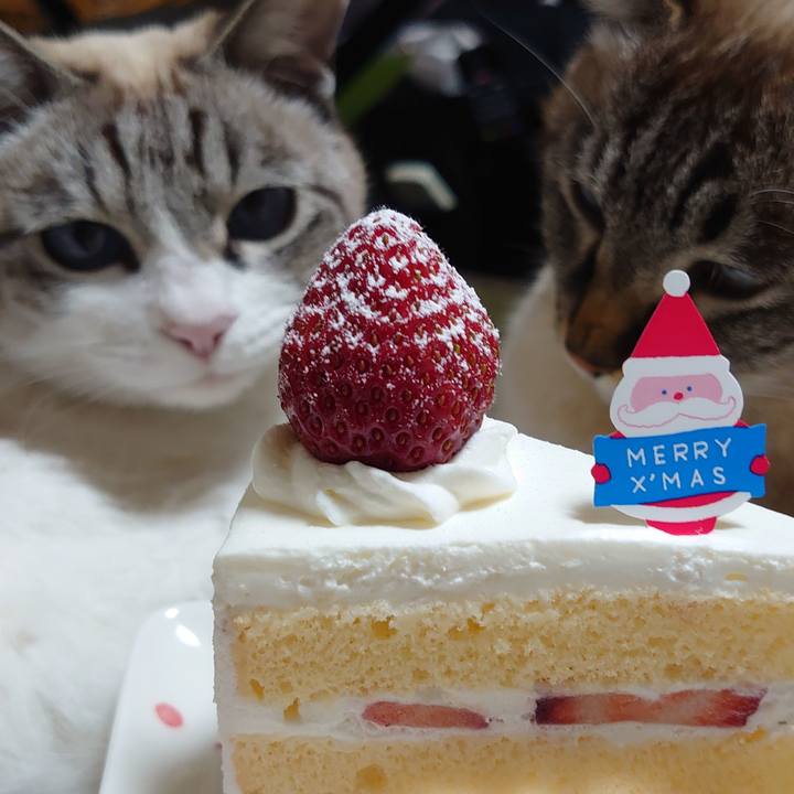 13da3cd4 1144 4389 abfe 3510e4ddfdb4 1640344443746