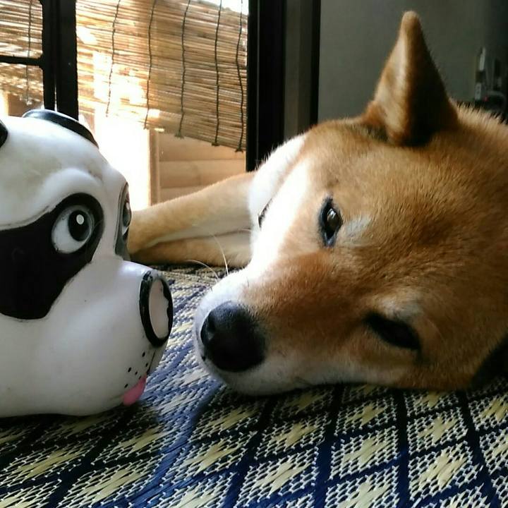 13da488c b9ac 45a4 9b8e 5b4aeac6debf 1528767317553