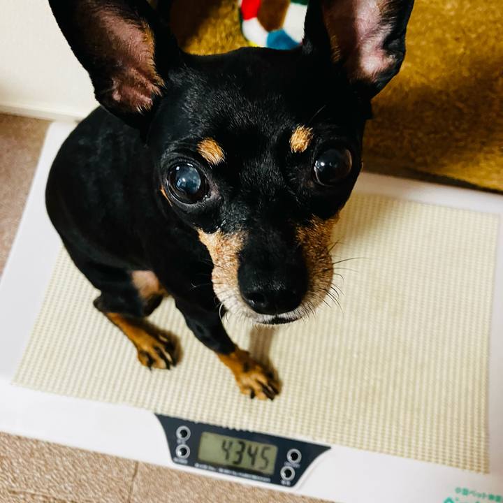 13da5b90 95c3 40cf b511 51916371429d 1757633968510