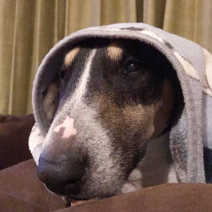 13da917b 1001 42b5 900f 0e38d4f9ad04 1508850500216