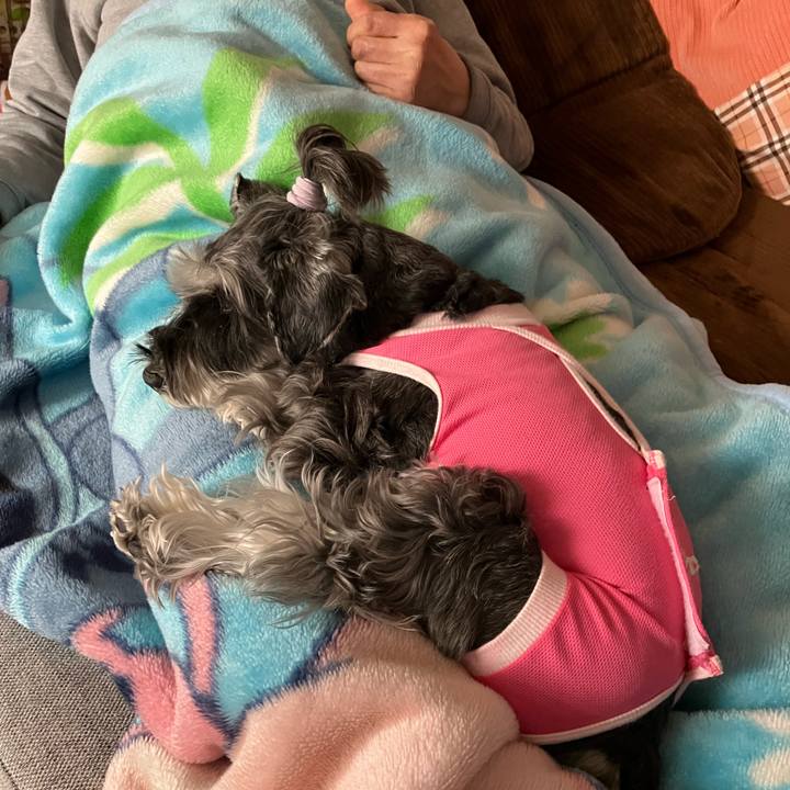 13da9807 627d 4071 b84d 644cd25a3b9f 1712473701788