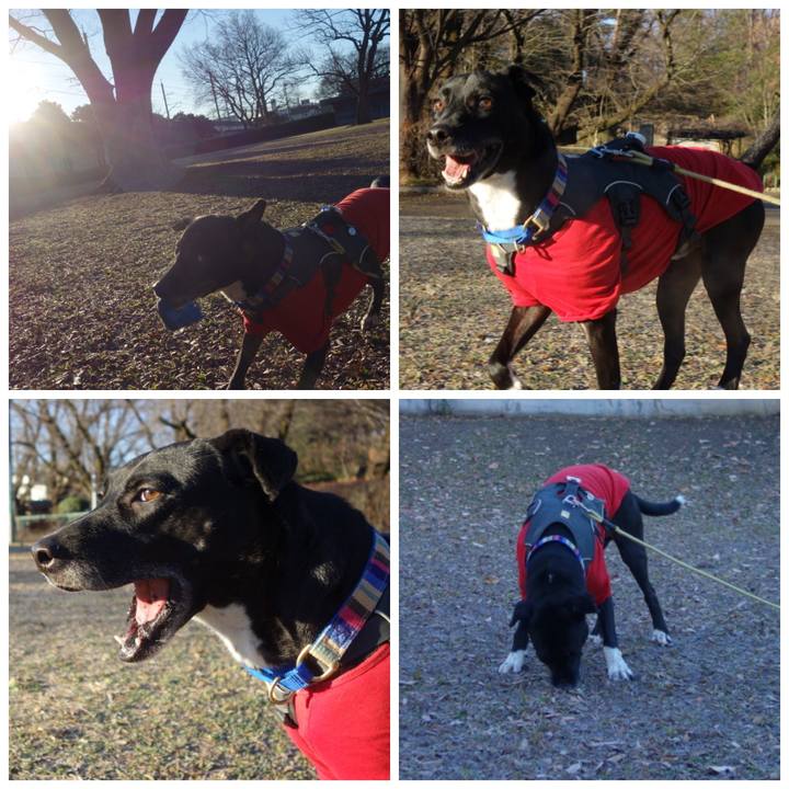 13dac163 f116 4d90 9180 422f8e427fe9 1640566444809